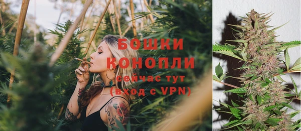 ГАЛЛЮЦИНОГЕННЫЕ ГРИБЫ Бронницы