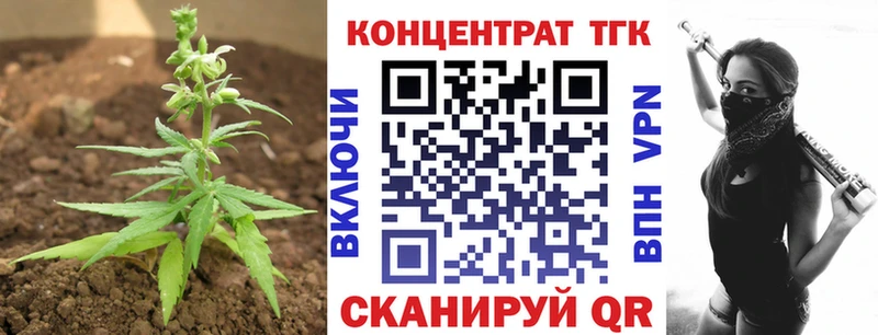 ТГК Wax  Сургут 